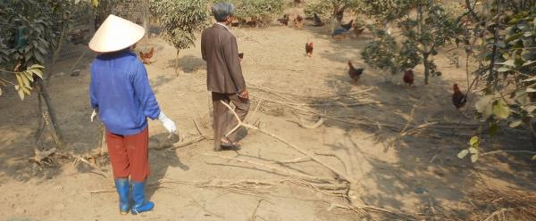 Dans une commune au Nord du Vietnam, des éleveurs ont réduit leur usage des antibiotiques via des alternatives à base de probiotiques, et se sont organisés en coopérative © C. Bâtie, Cirad